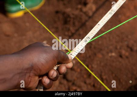 Umuganda monatlicher Gemeindedienst. Hier arbeiten sie am Bau von Klassenräumen für 12 Jahre Grundbildung an der Mwurire Groupe Scolare Schule, Mbazi Sektor, Huye District. Foto von Mike Goldwater Stockfoto