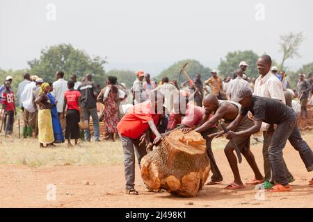 Umuganda monatlicher Gemeindedienst. Hier arbeiten sie am Bau von Klassenräumen für 12 Jahre Grundbildung an der Mwurire Groupe Scolare Schule, Mbazi Sektor, Huye District. Foto von Mike Goldwater Stockfoto