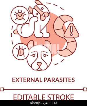 Äußere Parasiten Terrakotta-Konzept Symbol Stock Vektor