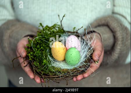 Nisten Sie mit bunten ostereiern in weiblichen Händen, Osterdekor im rustikalen Stil Stockfoto