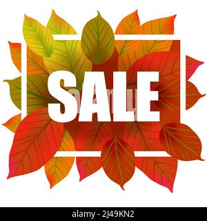 Sale Schriftzug im Rahmen. Kreative Inschrift mit bunten Herbstblättern. Illustration mit Schriftzug kann für Banner, Poster und Prospekte verwendet werden Stock Vektor