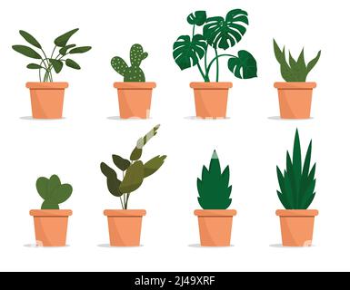 Schöne Blumen in Töpfen. Pflanzen in Töpfen. Flache Vektorgrafik Stock Vektor