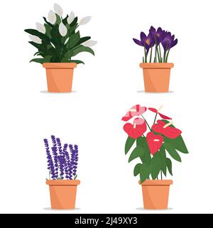Schöne Blumen in Töpfen. Pflanzen in Töpfen Stock Vektor