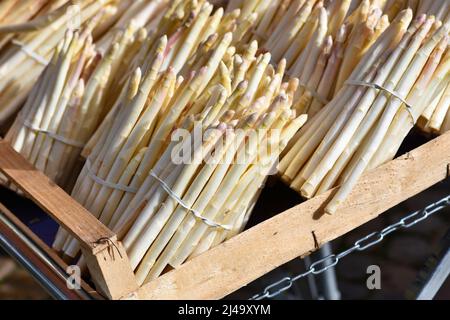 Büsche mit weißem Spargelgemüse am Marktstand Stockfoto