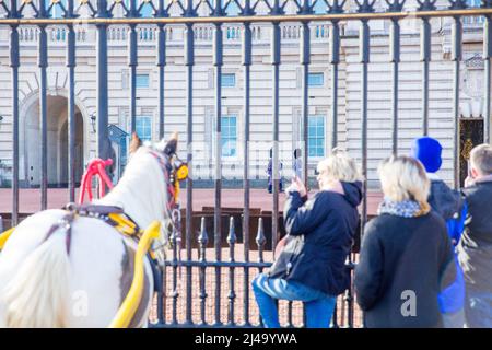 Pferde werden an das Geländer gebunden, während sich die Menschen vor dem Buckingham Palace im Zentrum Londons vor dem Accession Day versammeln. Stockfoto