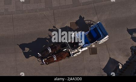 Luftaufnahme eines einzelnen fiacre-Busses mit zwei Pferden, die an einem sonnigen Tag auf einer asphaltierten Straße im historischen Zentrum der Stadt Wien, Österreich, fahren. Stockfoto