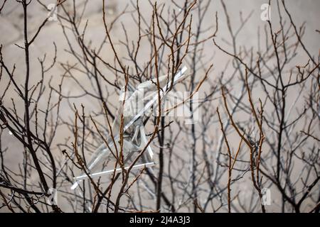 Teile der Fenster hängen an Ästen und liegen auf dem Boden. Die Luftwaffe der russischen Armee bombardierte zivile Objekte. Raketenangriff. Krieg Russlands Stockfoto