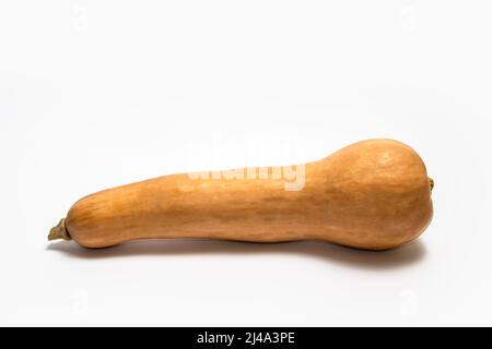 Frische Butternut Squash isoliert auf weiß Stockfoto