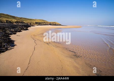 Der unberührte Strand von Budle Point an der Northumberland Coast, England Stockfoto