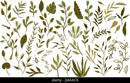 Großes botanisches Set aus grünen Blättern, Zweigen, Kräutern und dekorativen Blättern. Leuchtend grünes Laub im Boho-Stil. Botany Kollektion für Hochzeit, Karte, Banner, Grüße. Vektorgrafik. Stock Vektor