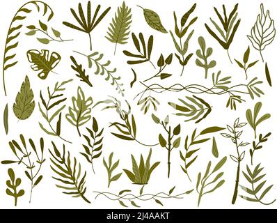 Großes botanisches Set aus grünen Blättern, Zweigen, Kräutern, dekorativen Blättern und tropischen Blättern. Leuchtend grünes Laub im Boho-Stil. Botany Kollektion für Hochzeit, Karte, Banner, Grüße. Vektor. Stock Vektor