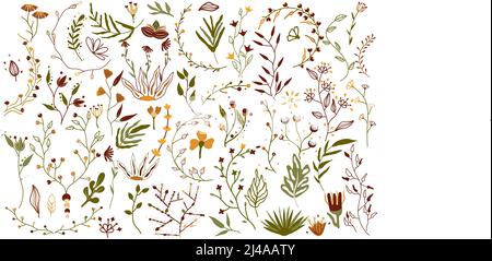 Großer botanischer Satz von Wildblumen, Gartenpflanzen, Ästen, Blumen, Kräutern, Dekorative Blätter und tropisches Blatt. Heller Botanischer Garten im Boho-Stil. Botanik Kollektion. Vektorgrafik. Stock Vektor