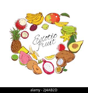 Bunte natürliche tropische Früchte rund Konzept mit Bio-exotischen Produkten In handgezeichneter Form isolierte Vektordarstellung Stock Vektor