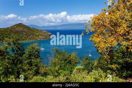 Bucht von Marigot, Terre-de-Haut, Iles des Saintes, Les Saintes, Guadeloupe, Kleinere Antillen, Karibik. Stockfoto