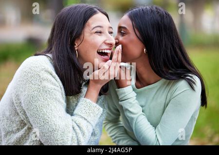 Niemand bringt die Lustige wie ein Studienfreund. Aufnahme von zwei jungen Frauen, die draußen am College Geheimnisse erzählen. Stockfoto