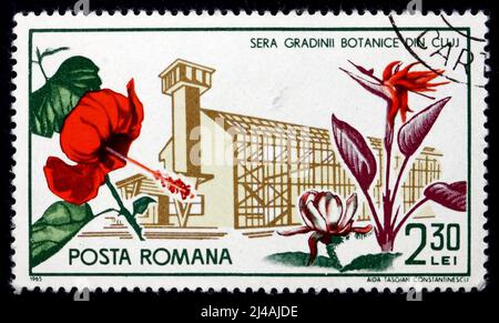 RUMÄNIEN - UM 1965: Eine in Rumänien gedruckte Marke zeigt Hibiscus, Paradiesvogelblume und Gewächshaus, Blumen aus Cluy Botanical Gardens, circ Stockfoto