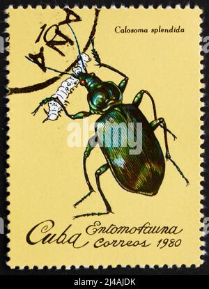 KUBA - UM 1980: Eine auf Kuba gedruckte Marke zeigt Calasoma Splendida, Insect, um 1980 Stockfoto