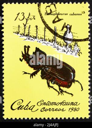 KUBA - UM 1980: Eine auf Kuba gedruckte Briefmarke zeigt Homophileurus Cubanus, Insect, um 1980 Stockfoto