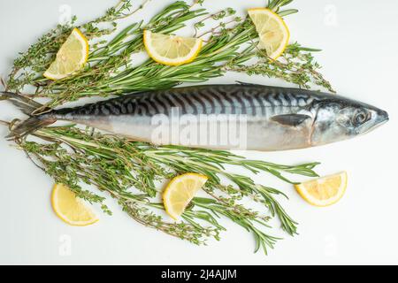 Rohe Sardinen auf einem Tisch mit Eis und Gewürzen. Blick von oben. Stockfoto