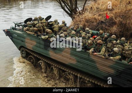 Zamosc, Polen. 31. März 2022. US-Fallschirmjäger von 1. Bataillons, 508. Fallschirmjäger-Infanterie-Regiment, 3. Brigade Combat Team, 82. Airborne Division, überqueren während einer kombinierten Trainingsübung in der Nähe von Zamosc, Polen, im März 31 einen Fluss in einem polnischen Amphibienfahrzeug. Das 3. Brigade Combat Team, 82. ABN. Div. Wird zur Unterstützung des US European Command eingesetzt, um unseren Alliierten zu versichern, dass sie jede Aggression gegen das NATO-Bündnis verhindern. Kredit: Garrett Ty Whitfield/U.S. Army/ZUMA Press Wire Service/ZUMAPRESS.com/Alamy Live News Stockfoto