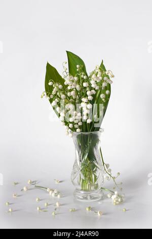 Blumenstrauß von Lilien des Tals in Vase auf weißem Hintergrund. Stockfoto