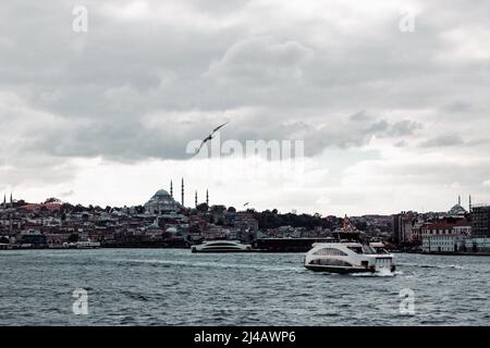 Stadtbild von Istanbul. Fähren und Möwen in Istanbul Ansicht. Reise in die Türkei Hintergrundbild. Stockfoto