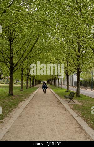 Blick auf die Ausrichtung von grünen Bäumen entlang eines Weges mit einer Radfahrerin mit einem Kind dahinter Stockfoto