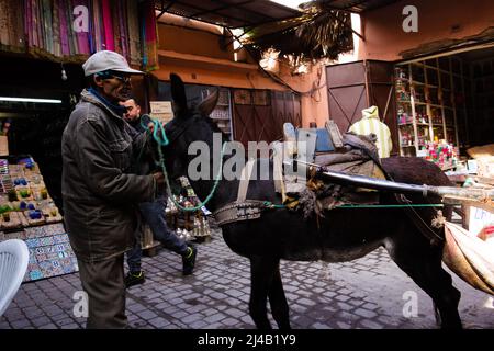 MARRAKESCH, MAROKKO - 21. NOVEMBER; 2018 Verladung Eselentransport in der Medina Stockfoto