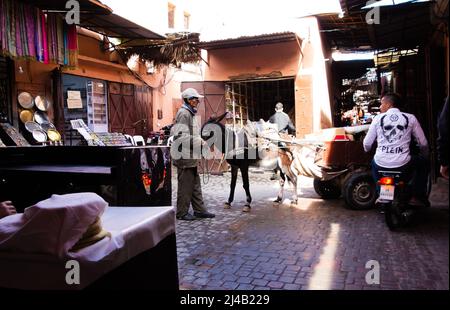 MARRAKESCH, MAROKKO - 21. NOVEMBER; 2018 Ladetransport in der Medina Stockfoto