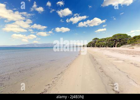 Schinias Strand ist einer der beliebtesten in Attica in der Nähe von Athen, Griechenland Stockfoto