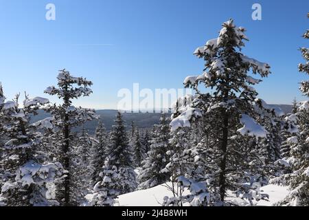 Sonnige Winterlandschaft im Isergebirge, Tschechische Republik, beliebt beim Langlaufen. Stockfoto