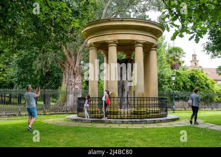 Blick auf den Stamm des alten Baumes von Gernika (Gernikako Arbola) in Guernica, Baskenland, Spanien Stockfoto