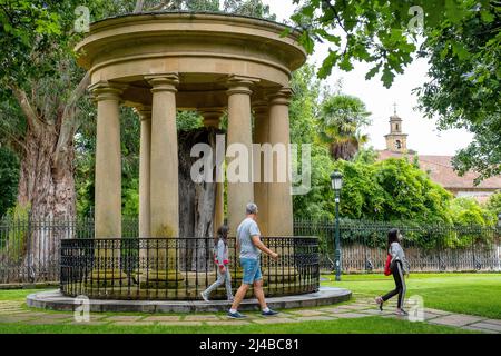 Blick auf den Stamm des alten Baumes von Gernika (Gernikako Arbola) in Guernica, Baskenland, Spanien Stockfoto