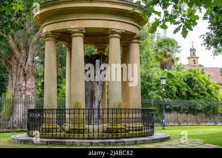 Blick auf den Stamm des alten Baumes von Gernika (Gernikako Arbola) in Guernica, Baskenland, Spanien Stockfoto