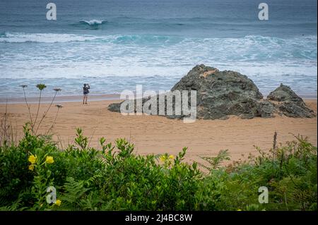 Laga-Strand im Biosphärenreservat Urdaibai, Biskaya, Baskenland, Spanien Stockfoto