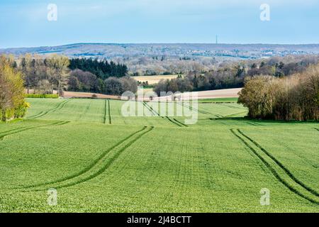 Wye Valley mit Blick auf die North Downs in der Nähe von Wye in der Nähe von Ashford, Kent, England Stockfoto