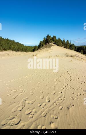 Erholungsgebiete an der Küste von Oregon, Coos Bay und North Bend Stockfoto