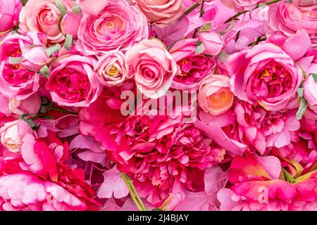 Blumen abstrakten Hintergrund. Nahaufnahme. Hochwertige Fotos Stockfoto