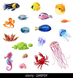 Cartoon bunte Meer Leben Set mit verschiedenen Fischen Seepferdchen Quallen Krabbenschalen Korallen Algen Pflanzen isoliert Vektor-Illustration Stock Vektor