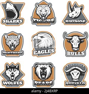 Bunte Team Sport Tiere Logotypen mit Säugetieren Haiadler gesetzt Köpfe im Vintage-Stil isoliert Vektor-Illustration Stock Vektor