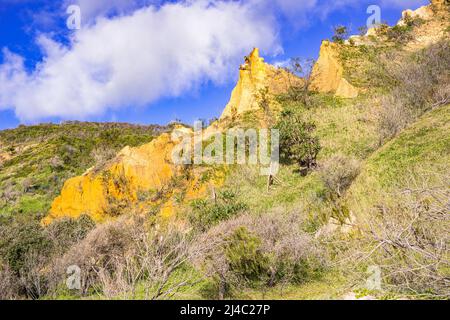 Die Pinnacles sind farbenfrohe Sanddünen an der Ostküste, entlang des Seventy Five Mile Beach auf Fraser Island, Queensland, Australien Stockfoto