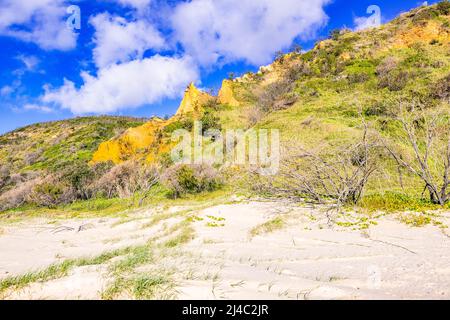 Die Pinnacles sind farbenfrohe Sanddünen an der Ostküste, entlang des Seventy Five Mile Beach auf Fraser Island, Queensland, Australien Stockfoto