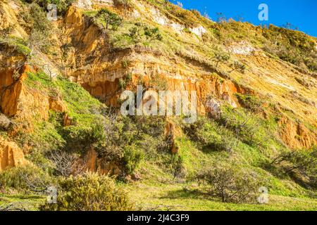 Die Pinnacles sind farbenfrohe Sanddünen an der Ostküste, entlang des Seventy Five Mile Beach auf Fraser Island, Queensland, Australien Stockfoto