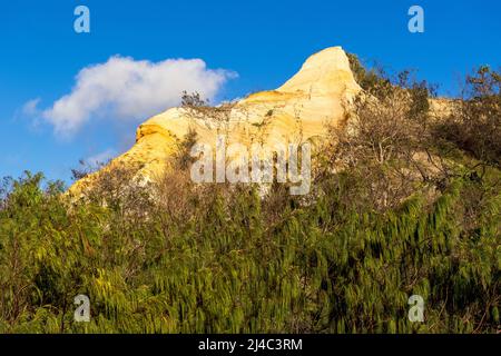 Die Pinnacles sind farbenfrohe Sanddünen an der Ostküste, entlang des Seventy Five Mile Beach auf Fraser Island, Queensland, Australien Stockfoto