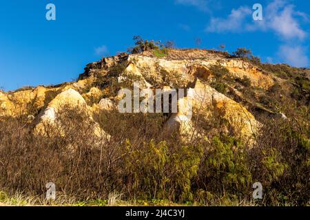 Die Pinnacles sind farbenfrohe Sanddünen an der Ostküste, entlang des Seventy Five Mile Beach auf Fraser Island, Queensland, Australien Stockfoto