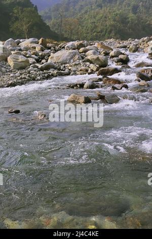 Der Balason-Fluss fließt durch die mit Felsbrocken bedeckte terai-Region bei Dudhia, westbengalen in indien Stockfoto