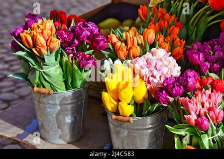 Bunte Frühlingsblumen in Körben am Verkaufsstand Stockfoto