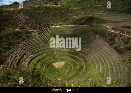 Inca landwirtschaftliche Forschung Station, Moray, Peru, Südamerika Stockfoto