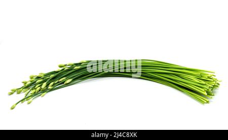 Isolierter Knoblauch-Schnittlauch oder chinesischer Schnittlauch auf weißem Hintergrund, ein Bund organischer Knoblauch-Schnittlauch. Stockfoto