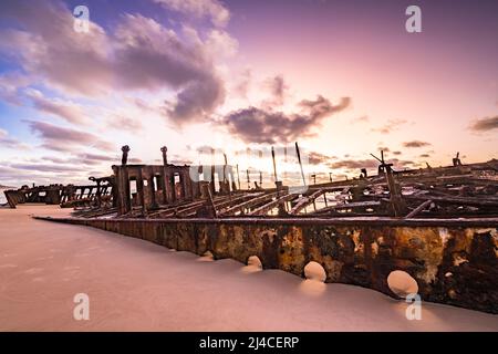 Das Schiffswrack von Maheno bei Sonnenaufgang, seine Hafenlöcher sind direkt über dem Sand sichtbar. Seventy Five Mile Beach, Fraser Island, Queensland, Australien Stockfoto